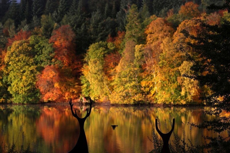 Отражения осеннего леса в Шотландии. (Фото Russell Cheyne):
