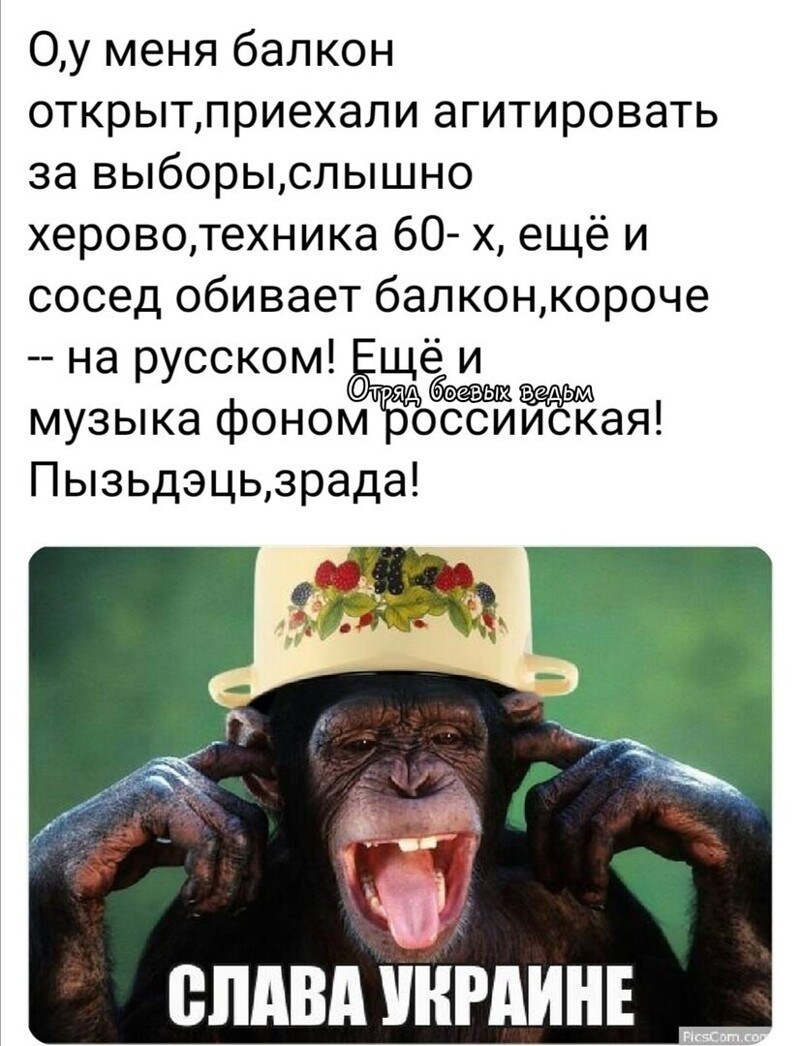 Политические комментарии из инета