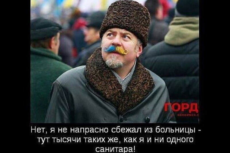 Политические комментарии из инета