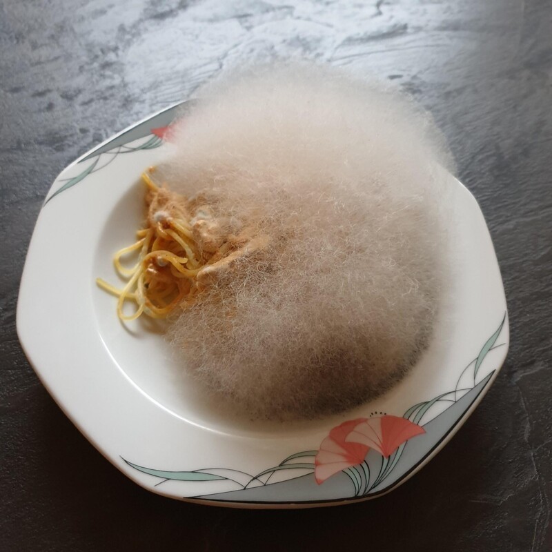 Забыл на неделю спагетти с грибами в микроволновке