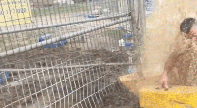 Гифки всякие