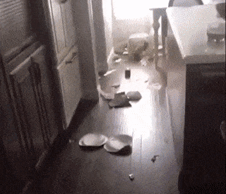 Просто гифки, всякие и разные