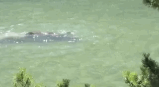 Просто гифки, всякие и разные