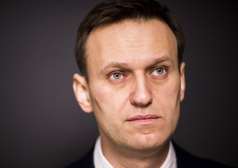 Бред сивой кобылы: новая версия «отравления» Навального