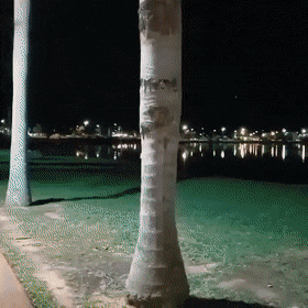 Разные гифки