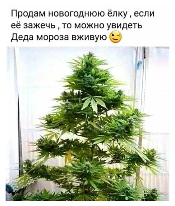 Прикольные и смешные картинки