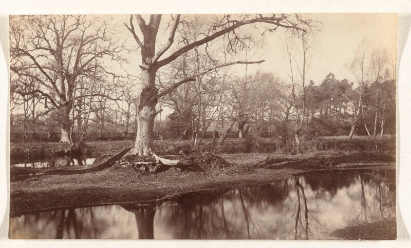 Пейзаж с деревьями. 1860