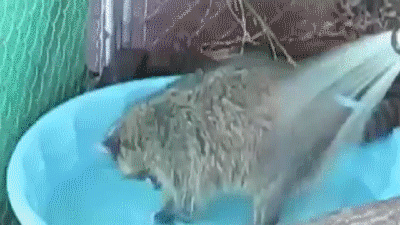 Гифки разные Гифки разные