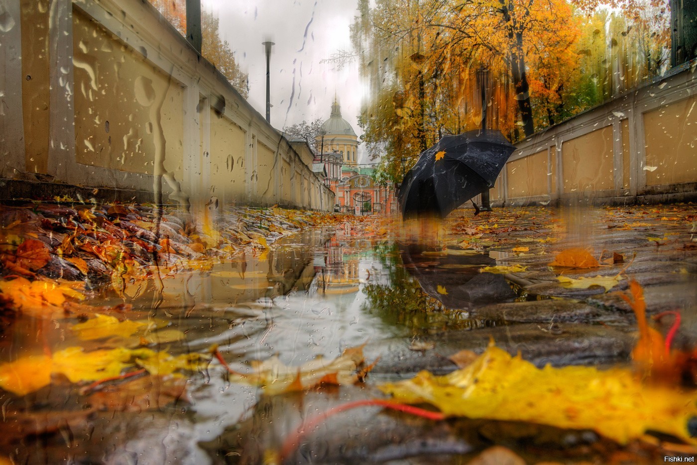 Плачущее небо под ногами. Эдуард Гордеев осенний Петербург. Эдуард Гордеев фотохудожник. Павловский парк Эдуард Гордеев. Фотограф Эдуард Гордеев г.Санкт Петербург.