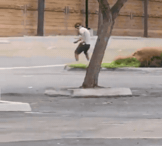 Гифки с собаками