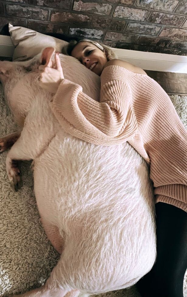 Блогерша держит дома 80-килограммовую свинку - это ее любимый питомец