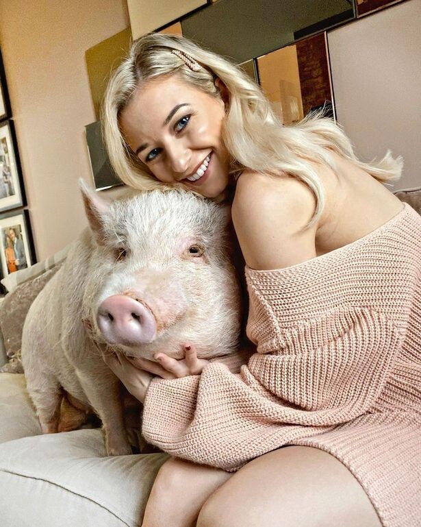 Блогерша держит дома 80-килограммовую свинку - это ее любимый питомец