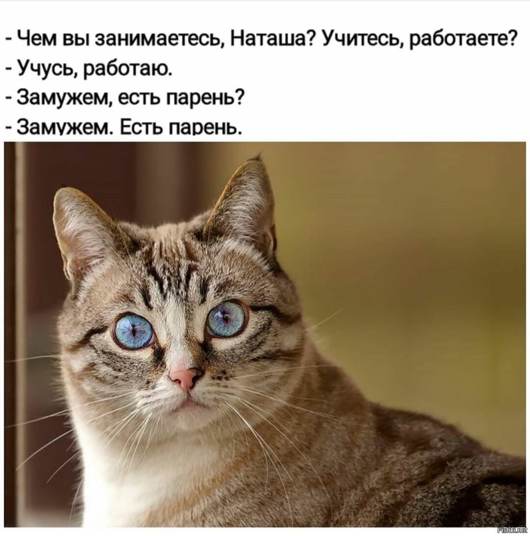 Косая Кошка Фото