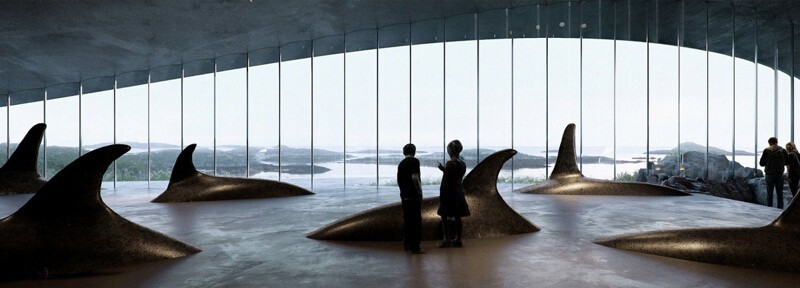 В Норвегии откроют музей для наблюдения за китами