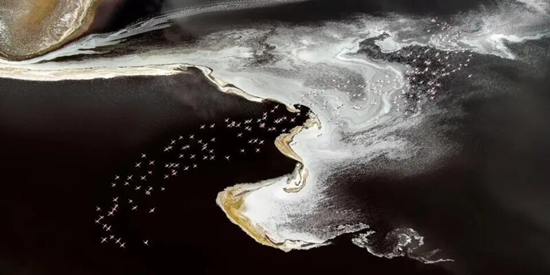 Перелет над бушующим океаном. Это фото представлено в номинации «Природа».