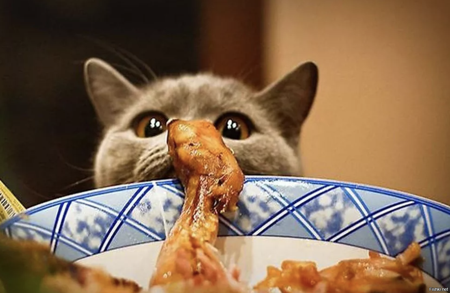 Как отучить кошку лазить на стол и воровать еду