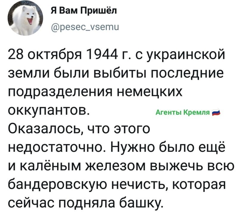 Политические комментарии из инета
