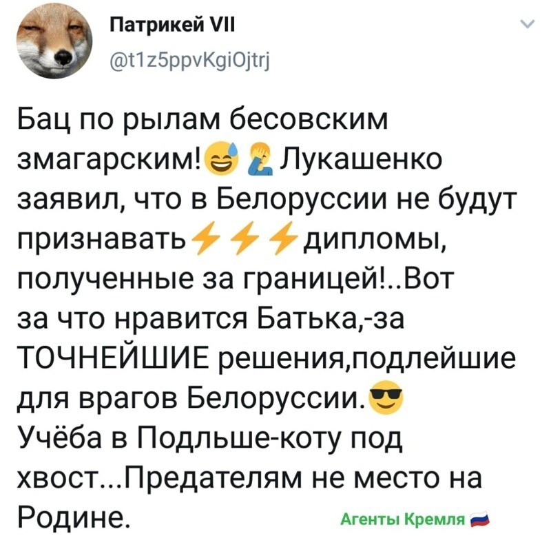 Политические комментарии из инета