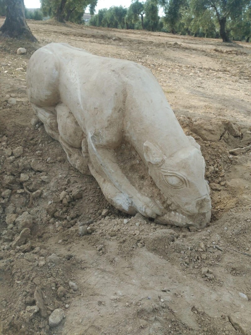 Фермер случайно нашел иберийскую скульптуру львицы
