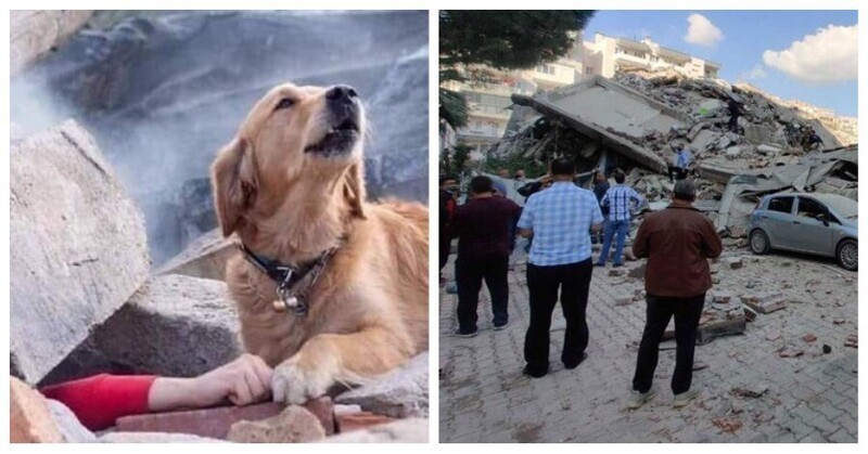 Землетрясение и цунами: двойное комбо обрушилось на Турцию 