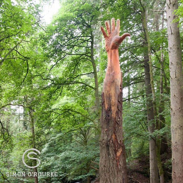 Эта 15-метровая деревянная скульптура носит название Giant Hand of Vyrnwy (Гигантская рука Вирнви)
