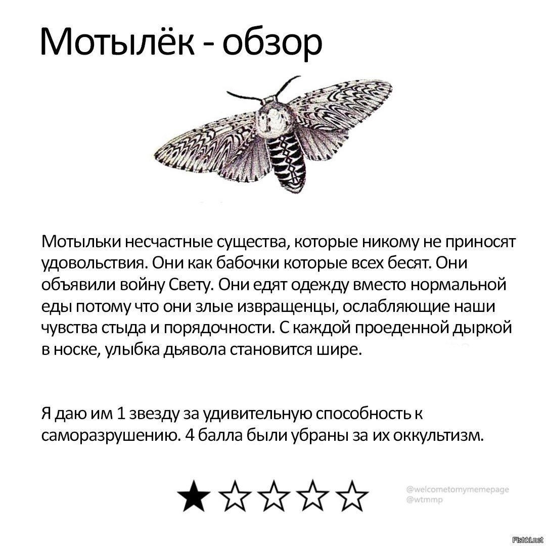 Бабочка джанага мона текст песни. Мотылёк Однодневка. Приколы про мотыльков. Бабочка Однодневка. Анекдот про мотылька.