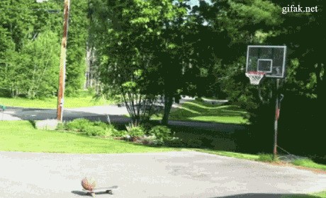 Баскетбол в гифках