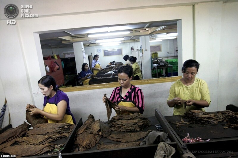 Производство сигар в Индонезии