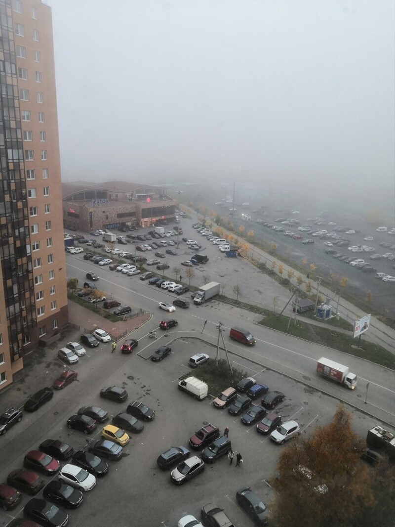 Туман в Невском районе