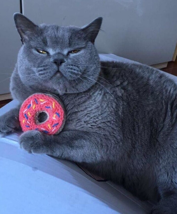 Толстячок Олли обожает свой игрушечный пончик!