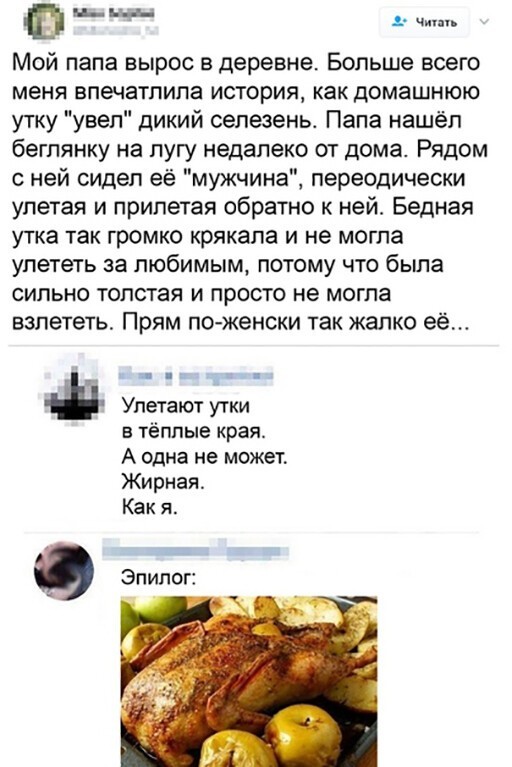 Прикольные и смешные картинки