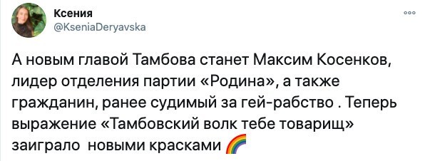 Реакция соцсетей на нового мэра Тамбова, судимого за гей-рабство