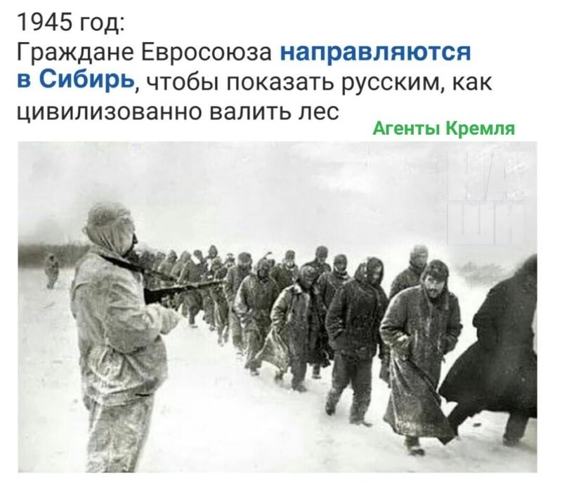 Политические комментарии из инета