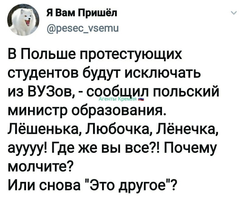 Политические комментарии из инета