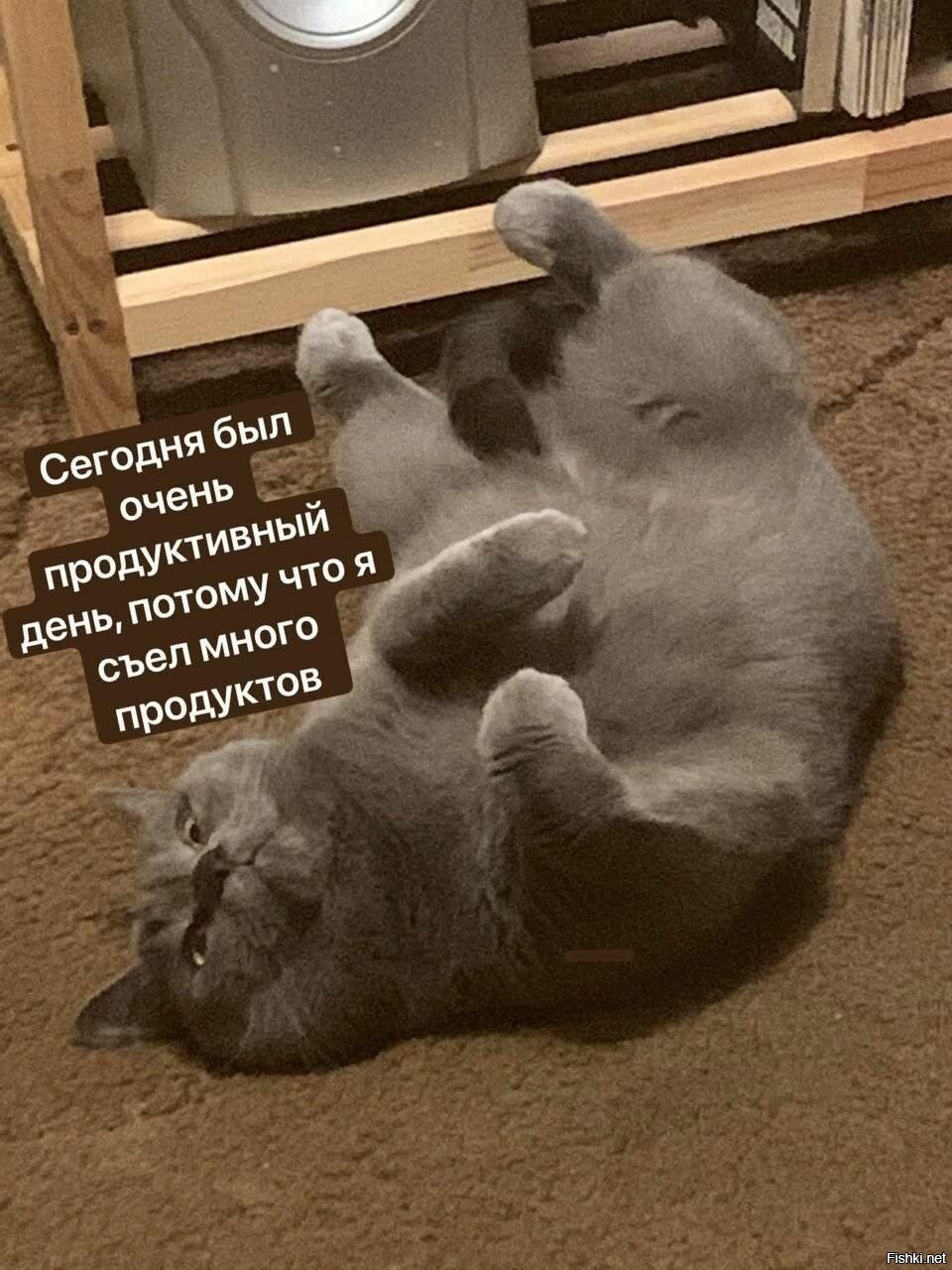 День был плодотворным