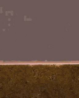 Разные гифки