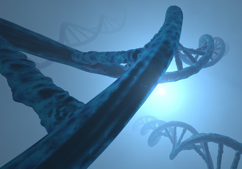 Значение ДНК в медицине