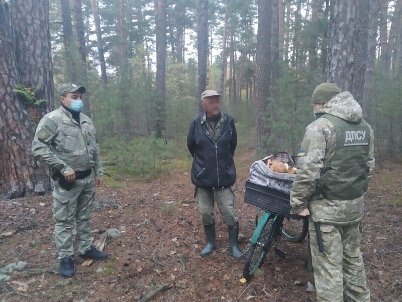 За сбор грибов в Чернобыле мужчинам грозит до 3 лет тюрьмы