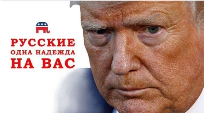 Политические комментарии из инета