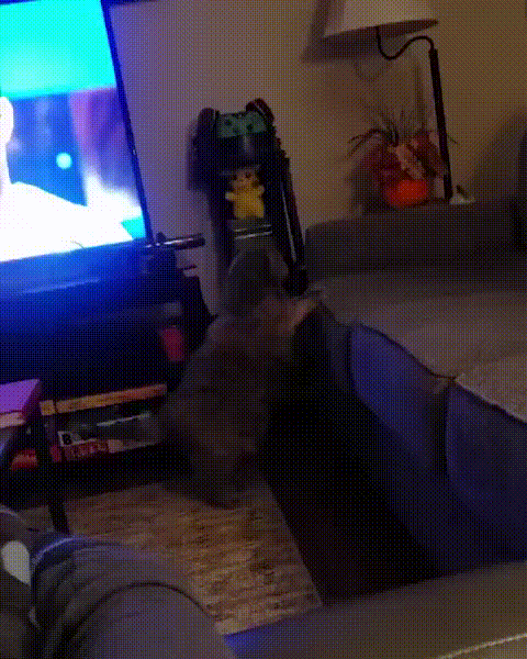 Долгая подготовка-залог хорошего результата