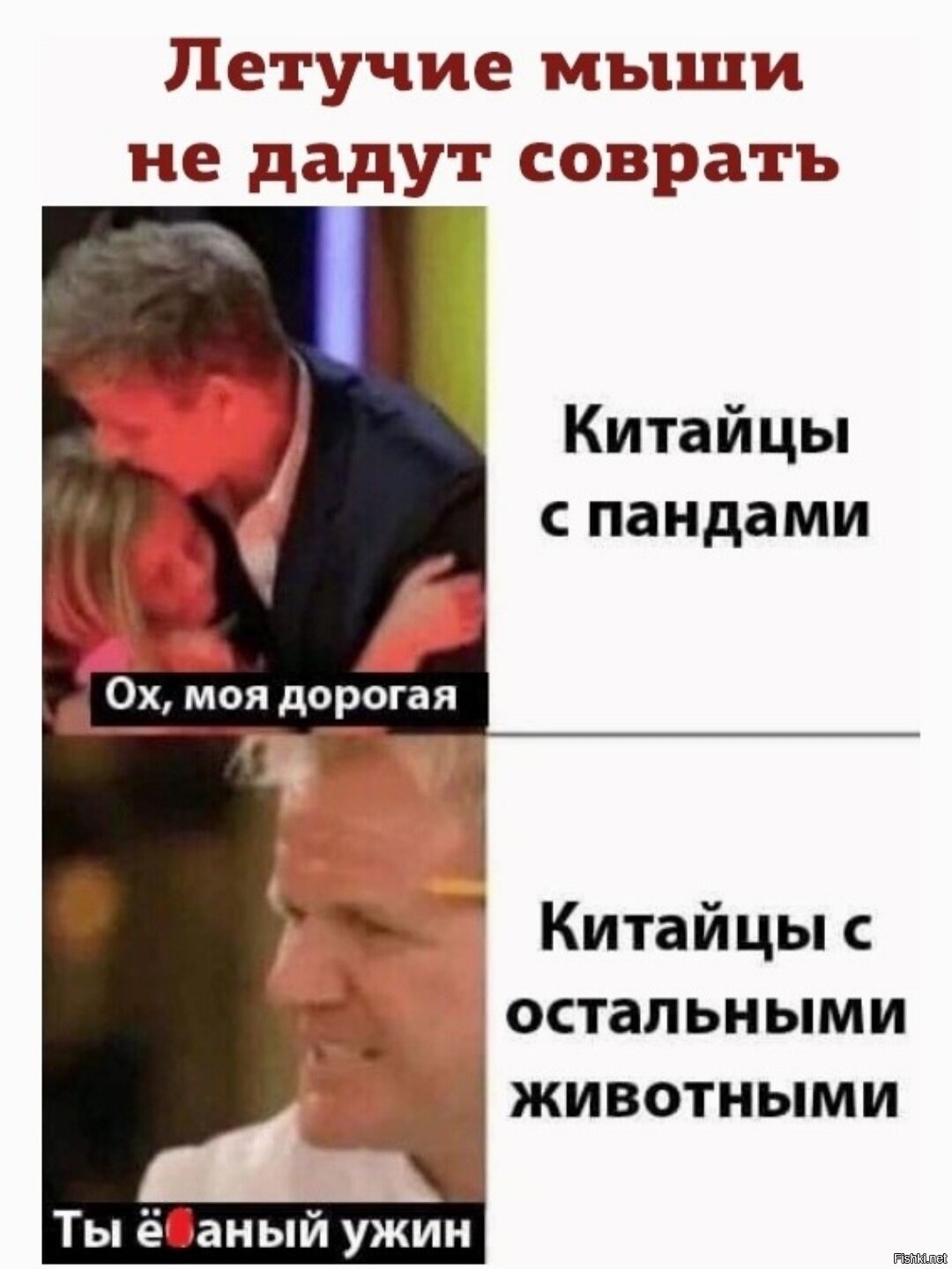 Стих я верю в честность президента. Мемы про девочек. Не дам соврать. Не дам соврать. Я верю в честность президента.