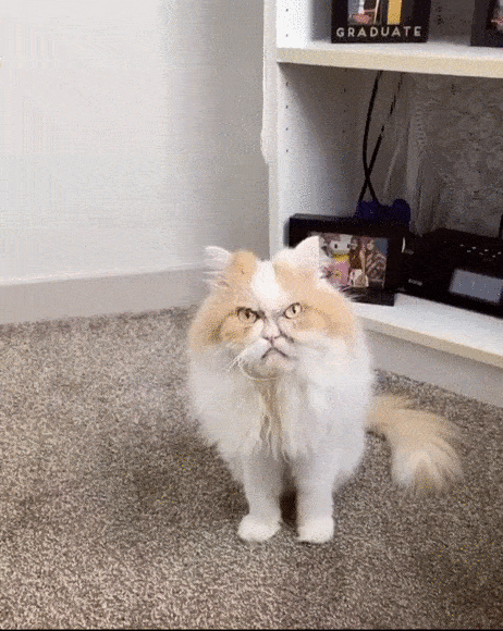 Когда встал не с той ноги