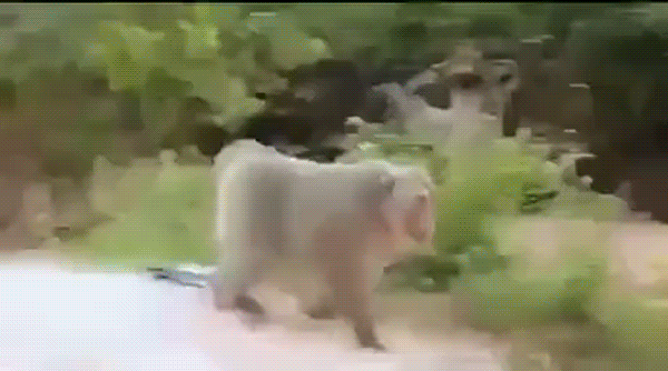  Вот и ходи потом на свидания вслепую