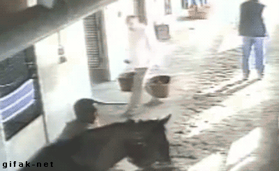 Гифки разные