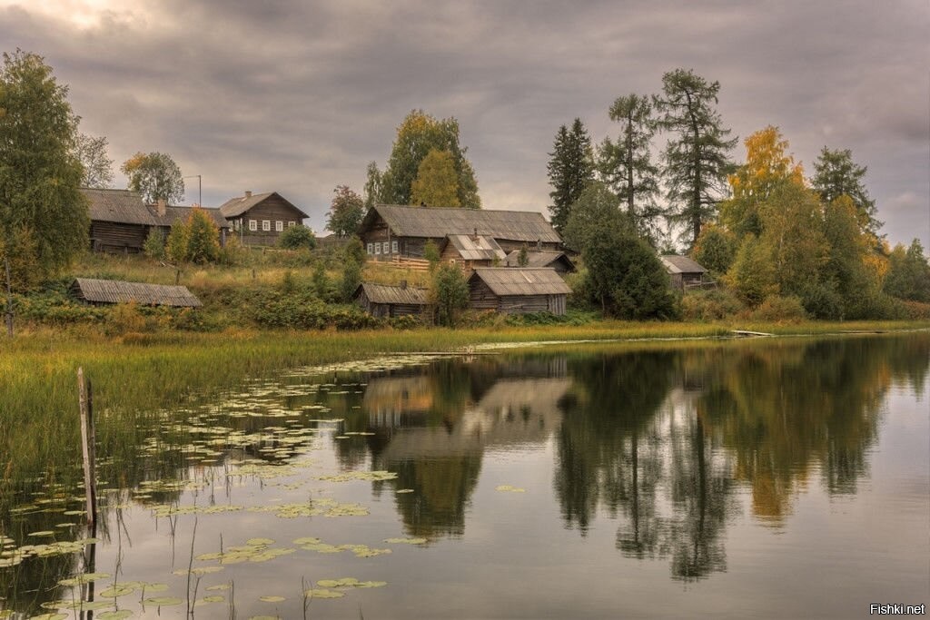 Поселение село. Деревня Кузьминка Плесецкий район. Деревня Кузьминки Архангельская область. Деревня Плесцы Архангельской области. Деревня Мартемьяновская Плесецкий район.