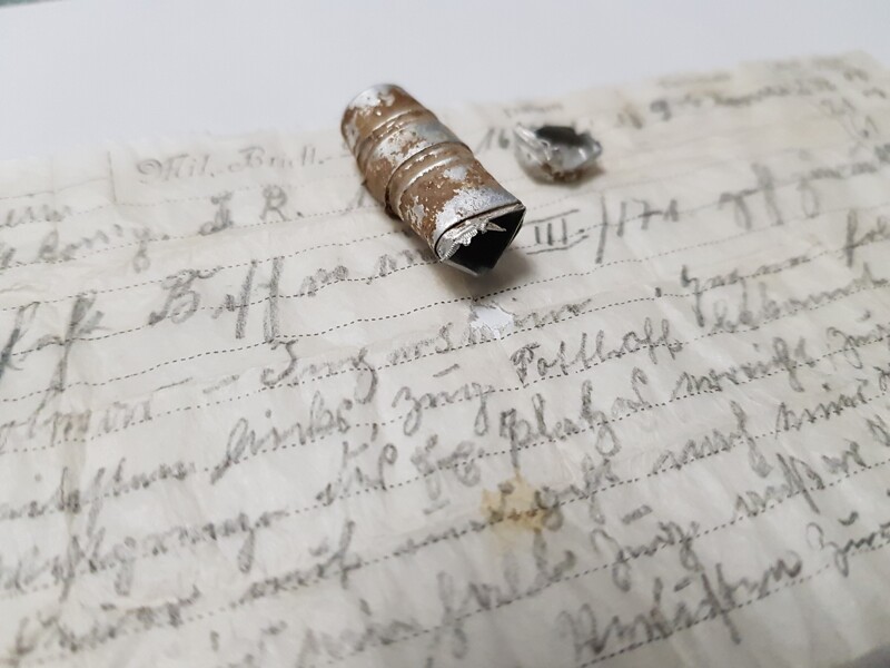 Французы нашли письмо, отправленное с голубем 110 лет назад