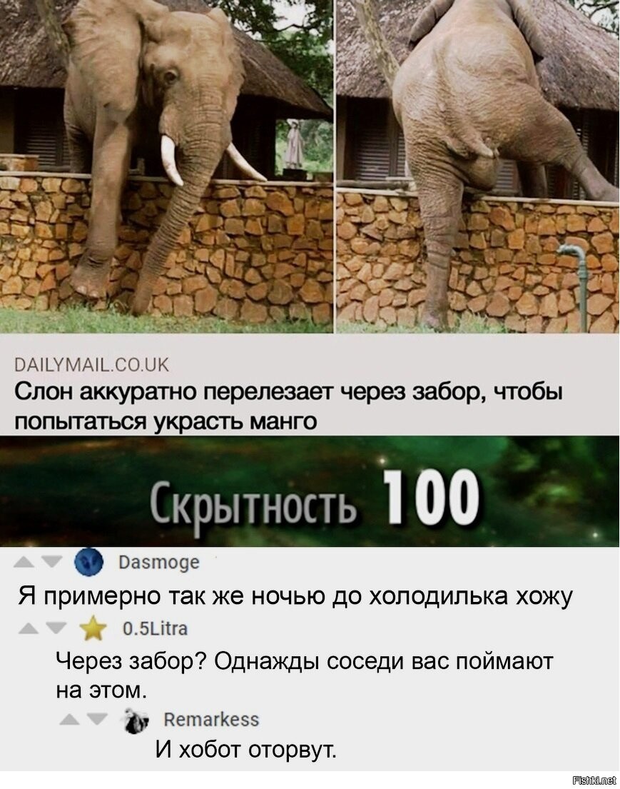 Хобот Костя
