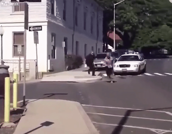 Смешная ловля вышла