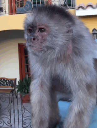 Когда все вокруг ужасно бесит