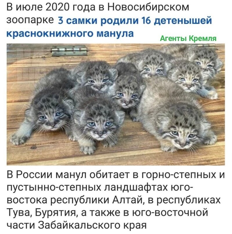 Политические комментарии 2